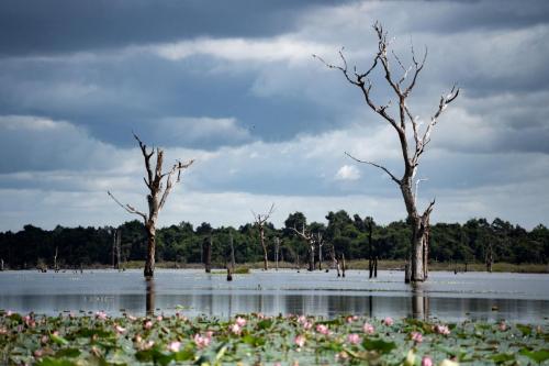 Angkor